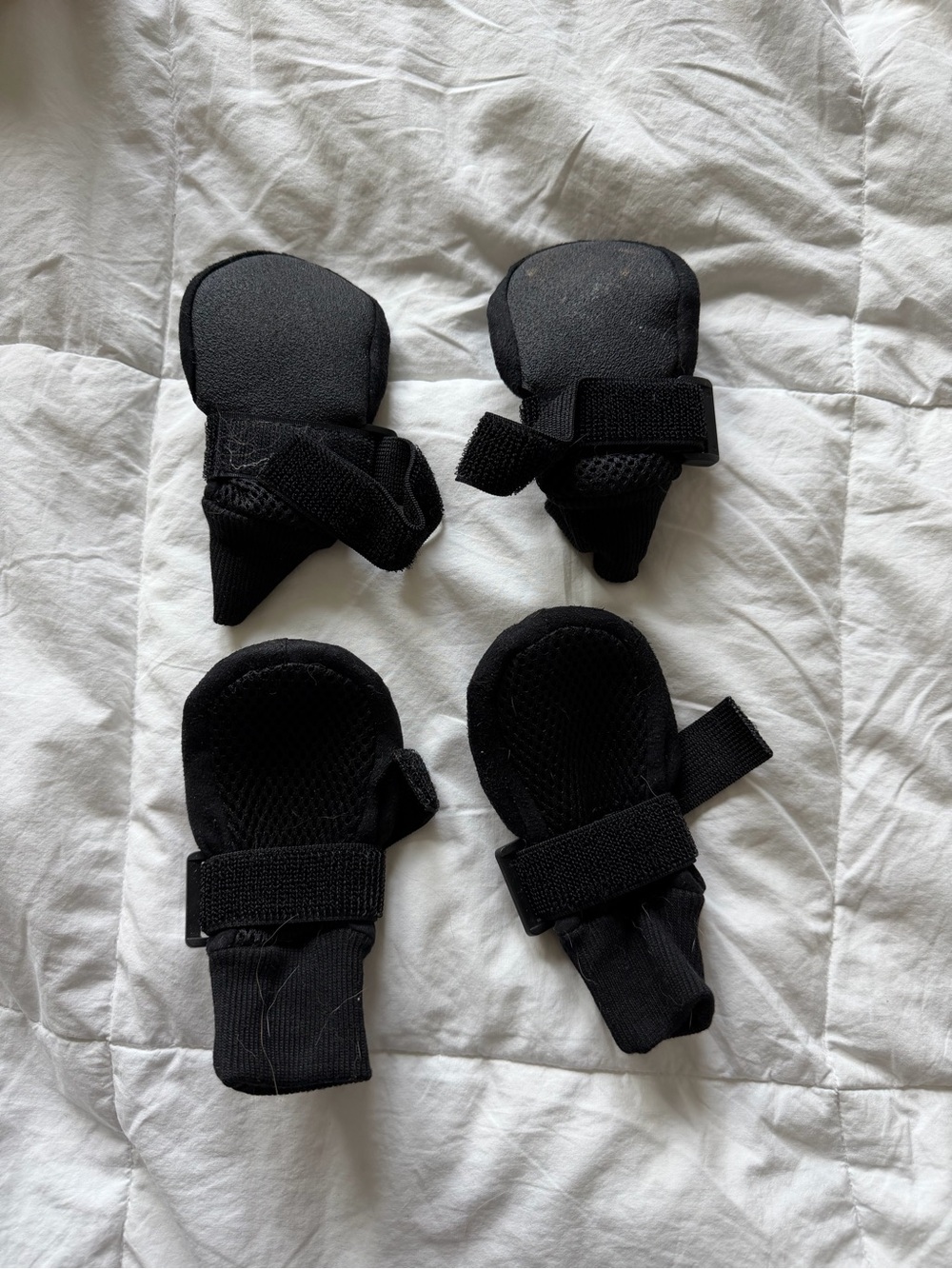 Black Dog Booties